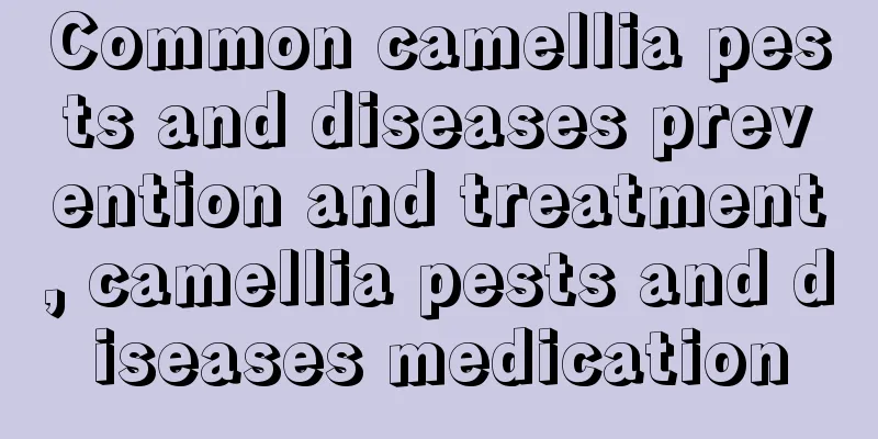 Common camellia pests and diseases prevention and treatment, camellia pests and diseases medication