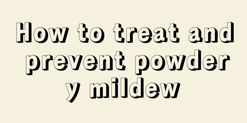 How to treat and prevent powdery mildew