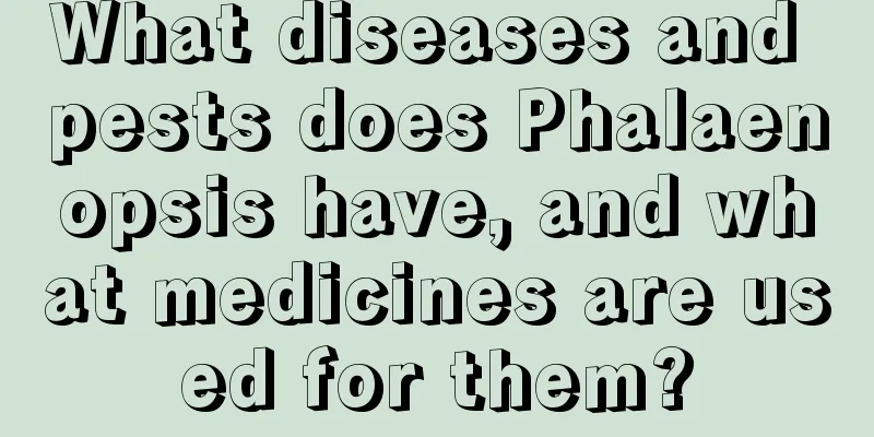 What diseases and pests does Phalaenopsis have, and what medicines are used for them?