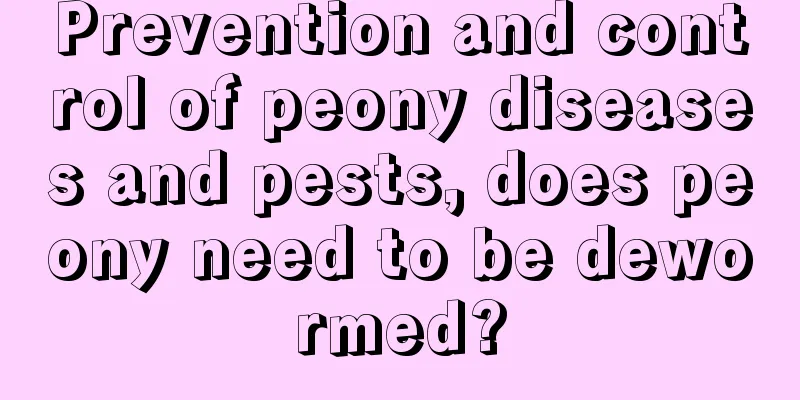 Prevention and control of peony diseases and pests, does peony need to be dewormed?