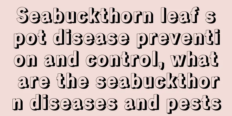 Seabuckthorn leaf spot disease prevention and control, what are the seabuckthorn diseases and pests