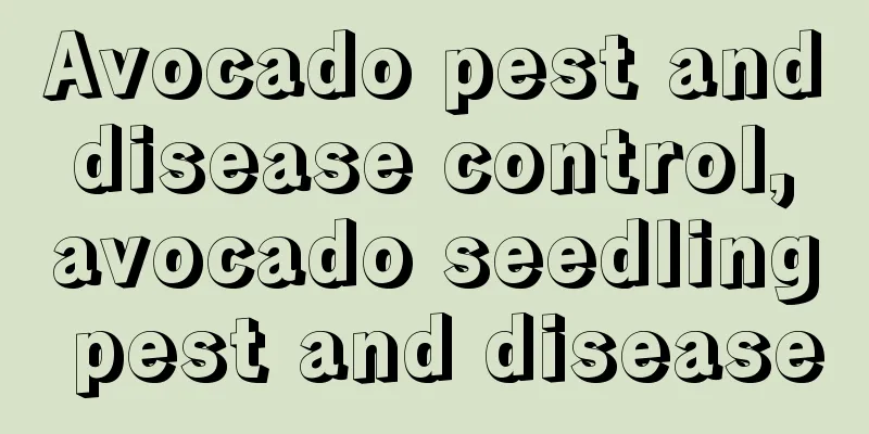 Avocado pest and disease control, avocado seedling pest and disease