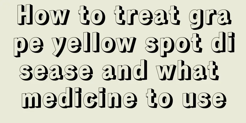 How to treat grape yellow spot disease and what medicine to use