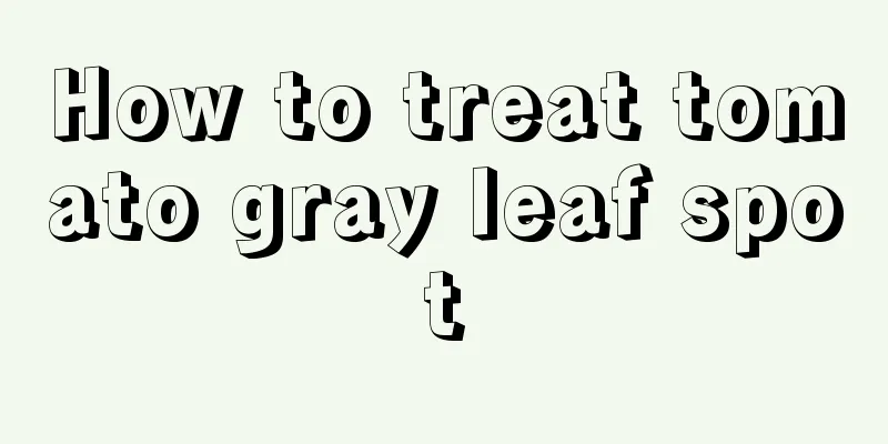 How to treat tomato gray leaf spot