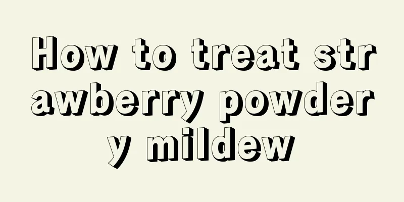 How to treat strawberry powdery mildew