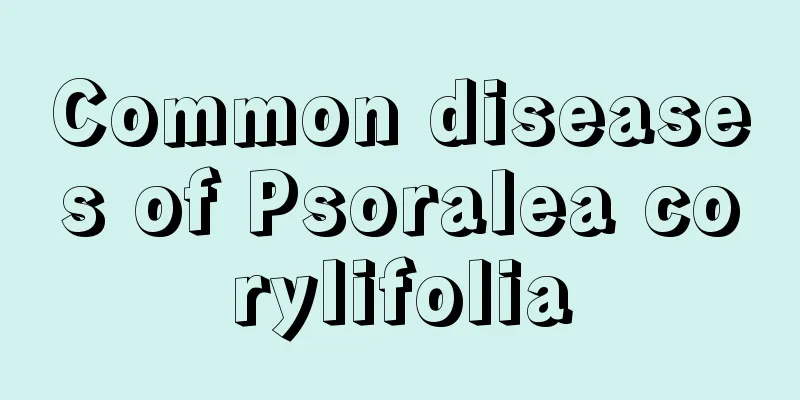 Common diseases of Psoralea corylifolia