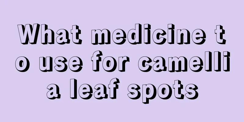 What medicine to use for camellia leaf spots