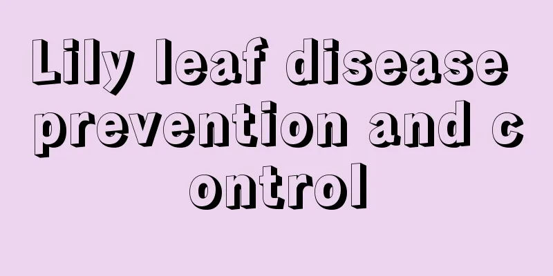 Lily leaf disease prevention and control