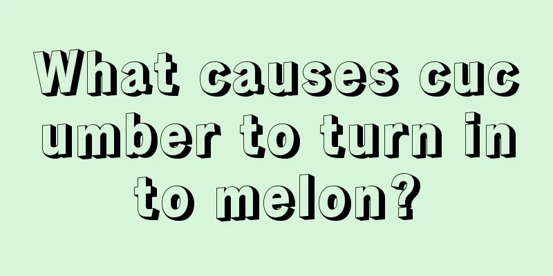 What causes cucumber to turn into melon?