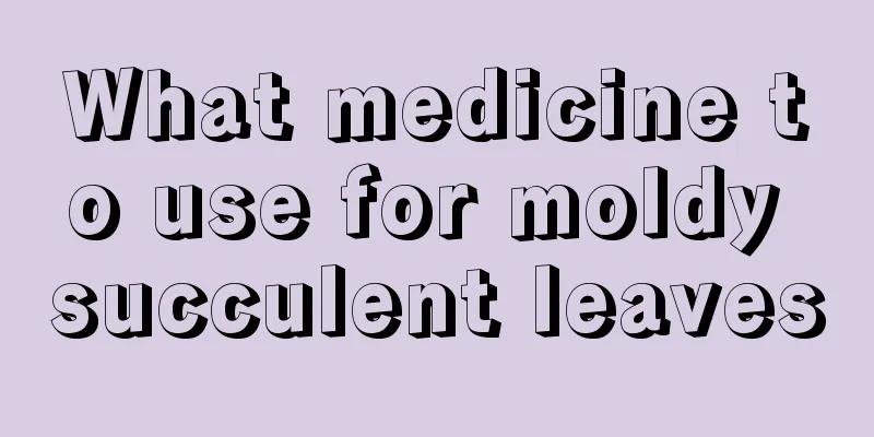 What medicine to use for moldy succulent leaves