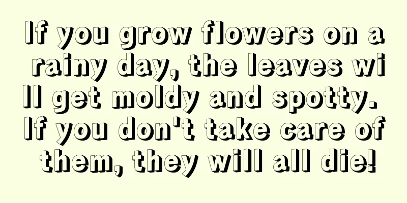 If you grow flowers on a rainy day, the leaves will get moldy and spotty. If you don't take care of them, they will all die!