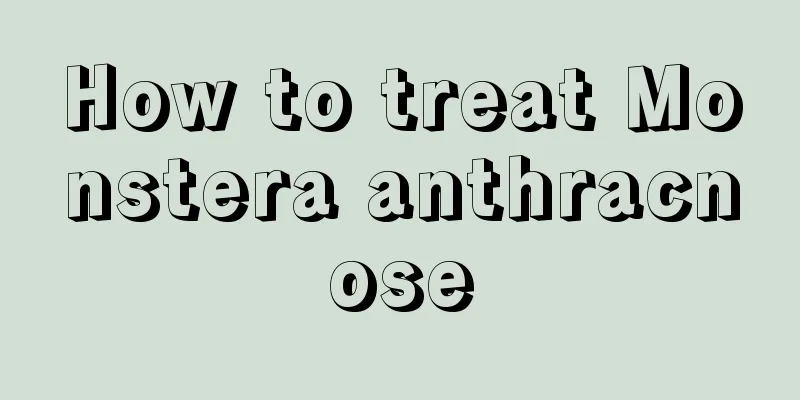 How to treat Monstera anthracnose