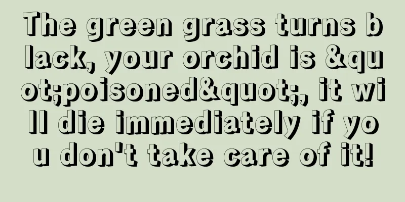 The green grass turns black, your orchid is "poisoned", it will die immediately if you don't take care of it!