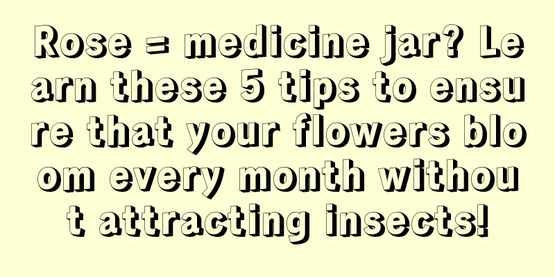 Rose = medicine jar? Learn these 5 tips to ensure that your flowers bloom every month without attracting insects!