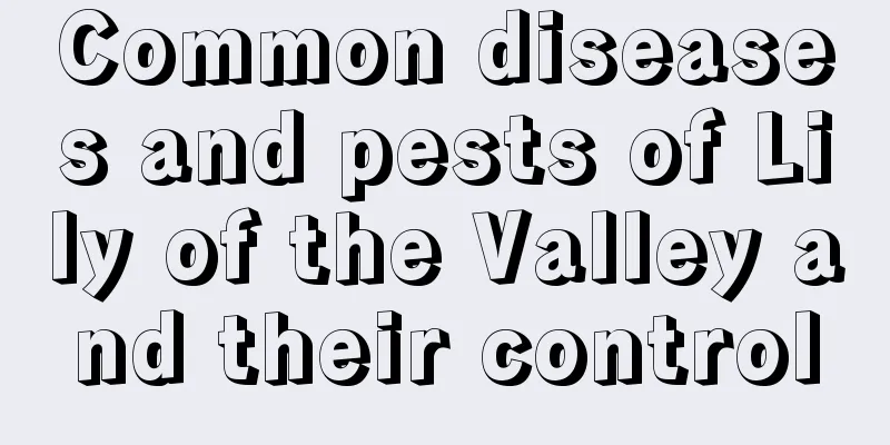 Common diseases and pests of Lily of the Valley and their control