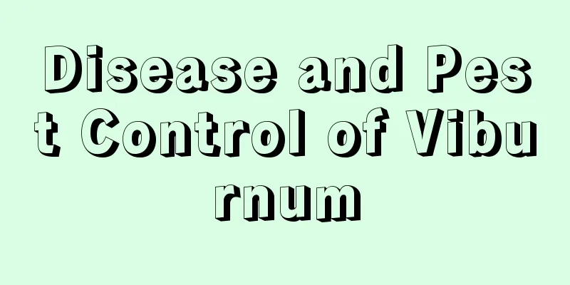 Disease and Pest Control of Viburnum