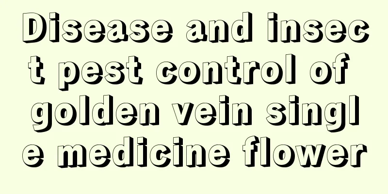 Disease and insect pest control of golden vein single medicine flower