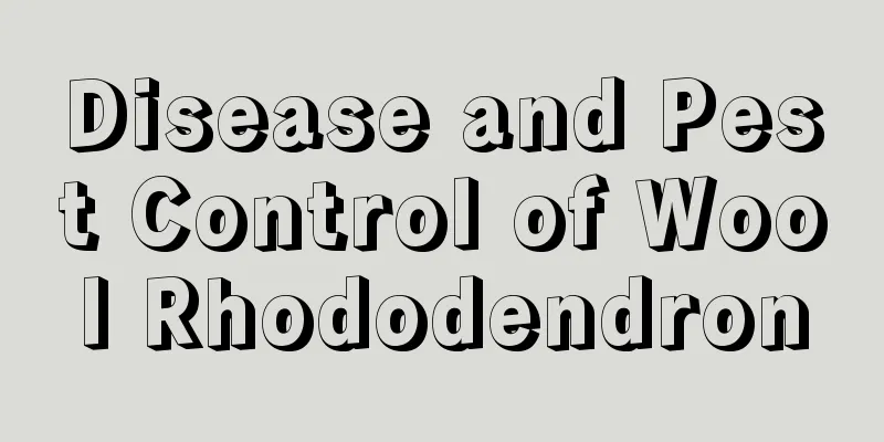 Disease and Pest Control of Wool Rhododendron