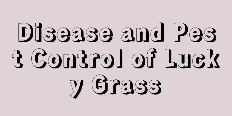 Disease and Pest Control of Lucky Grass