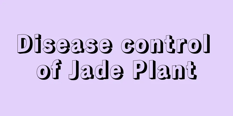 Disease control of Jade Plant