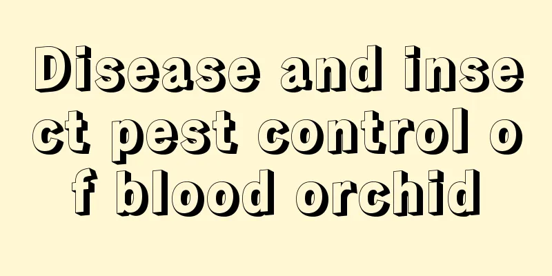 Disease and insect pest control of blood orchid