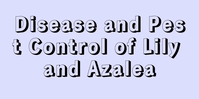 Disease and Pest Control of Lily and Azalea