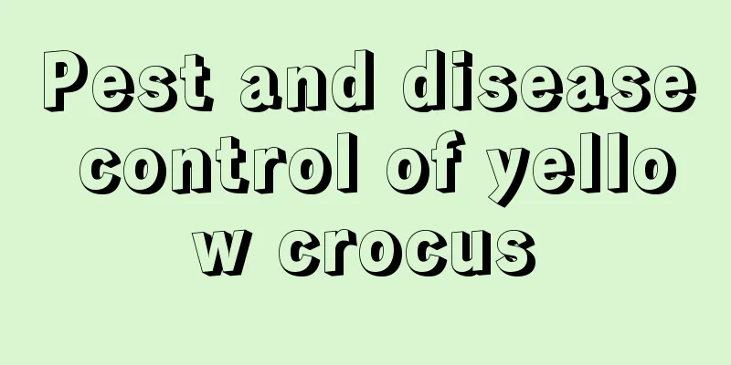 Pest and disease control of yellow crocus