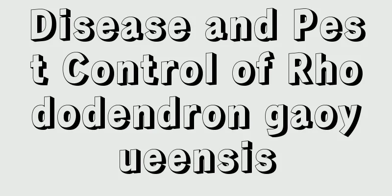 Disease and Pest Control of Rhododendron gaoyueensis