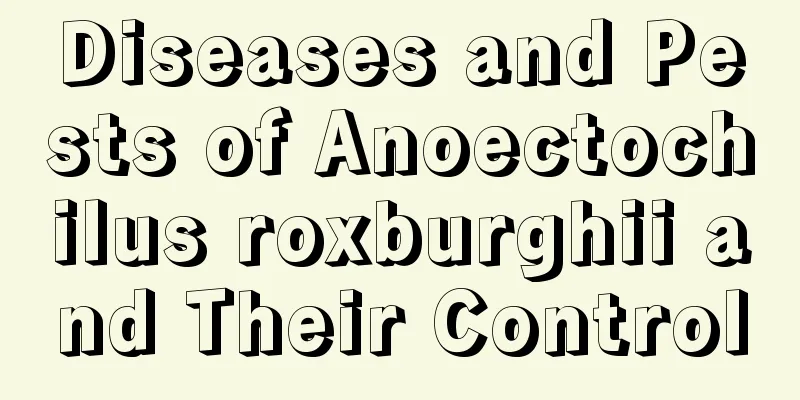 Diseases and Pests of Anoectochilus roxburghii and Their Control