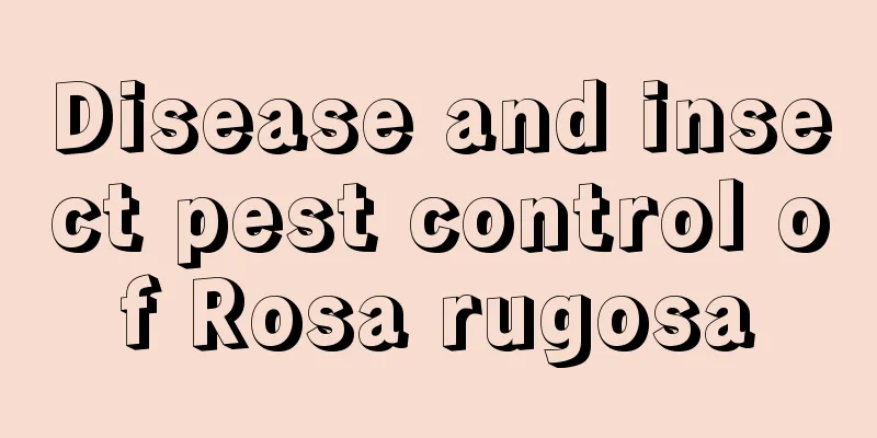 Disease and insect pest control of Rosa rugosa