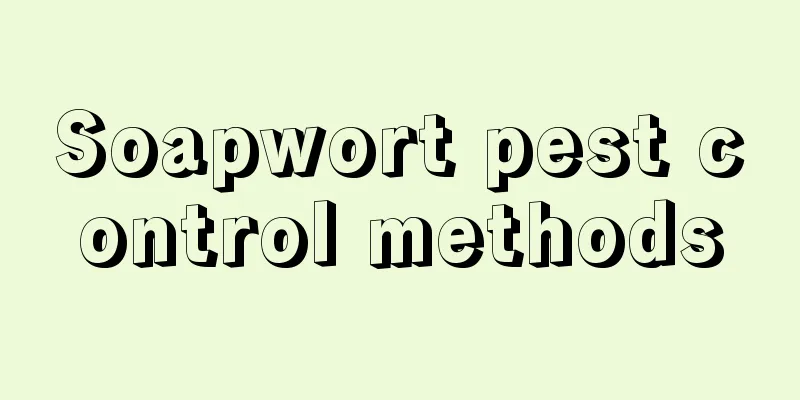 Soapwort pest control methods