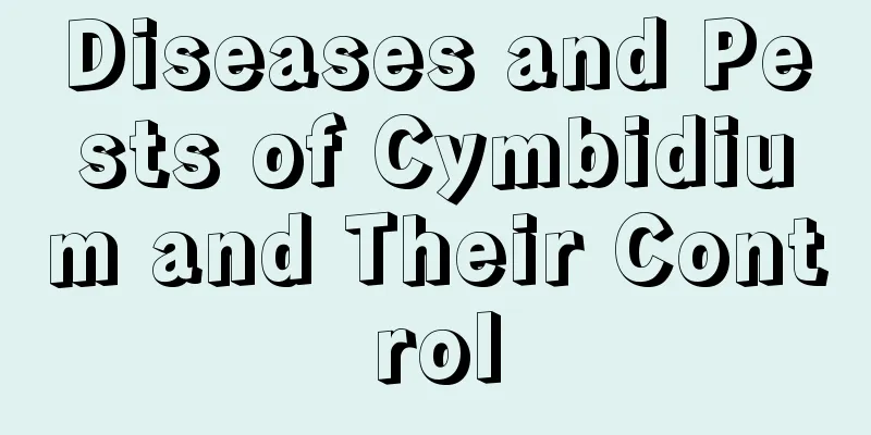 Diseases and Pests of Cymbidium and Their Control