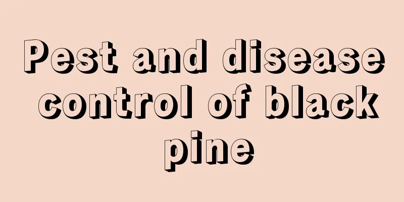 Pest and disease control of black pine