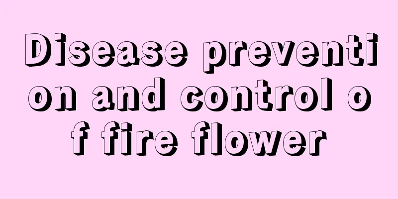 Disease prevention and control of fire flower