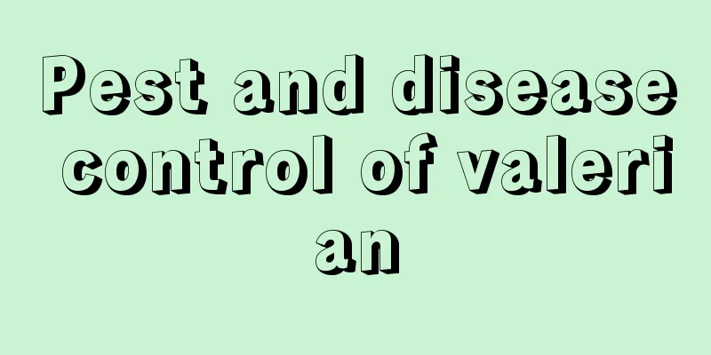 Pest and disease control of valerian