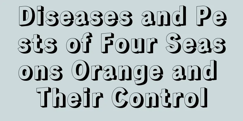 Diseases and Pests of Four Seasons Orange and Their Control