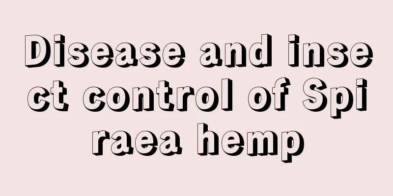 Disease and insect control of Spiraea hemp