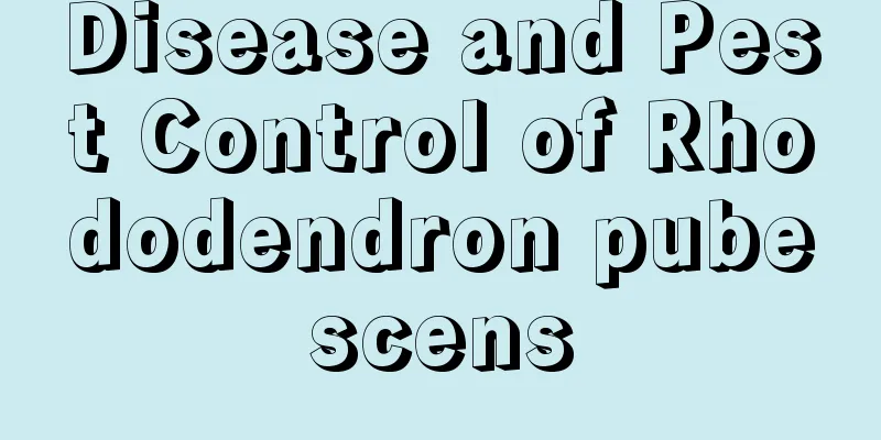 Disease and Pest Control of Rhododendron pubescens