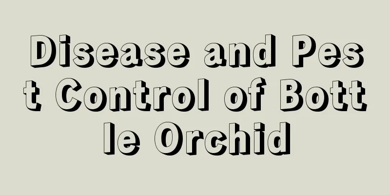 Disease and Pest Control of Bottle Orchid