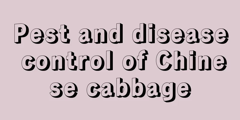 Pest and disease control of Chinese cabbage