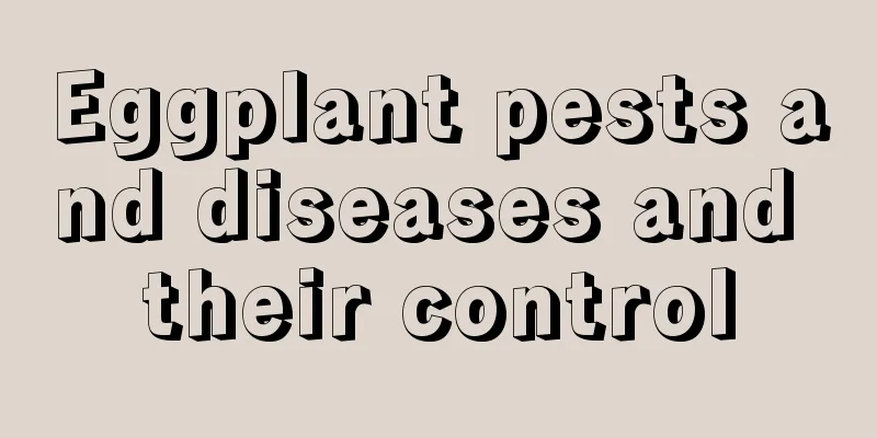 Eggplant pests and diseases and their control