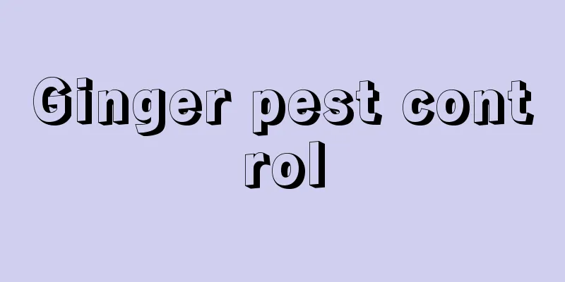 Ginger pest control