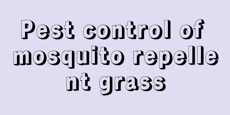 Pest control of mosquito repellent grass