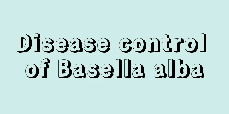 Disease control of Basella alba