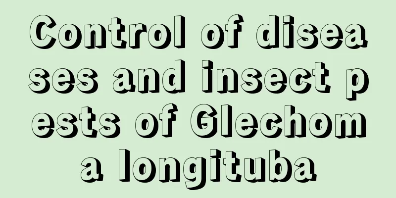 Control of diseases and insect pests of Glechoma longituba