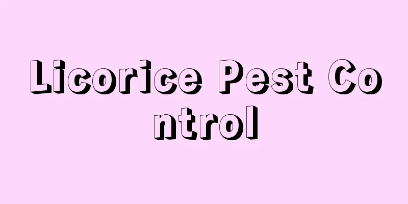 Licorice Pest Control