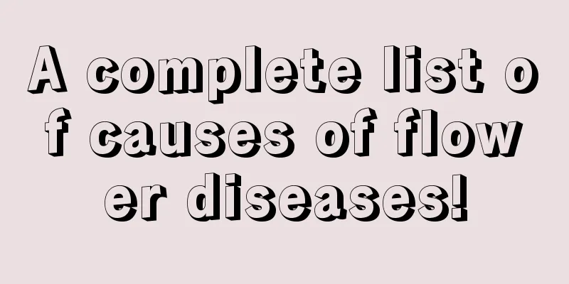 A complete list of causes of flower diseases!