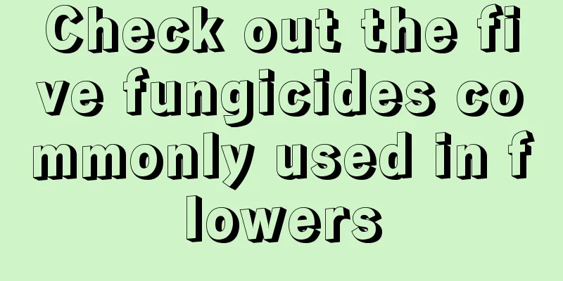 Check out the five fungicides commonly used in flowers