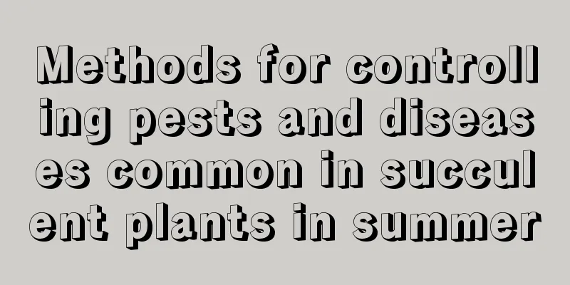 Methods for controlling pests and diseases common in succulent plants in summer