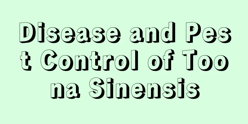 Disease and Pest Control of Toona Sinensis